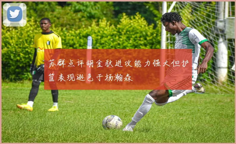 苏群点评胡金秋进攻能力强大但护筐表现逊色于杨瀚森