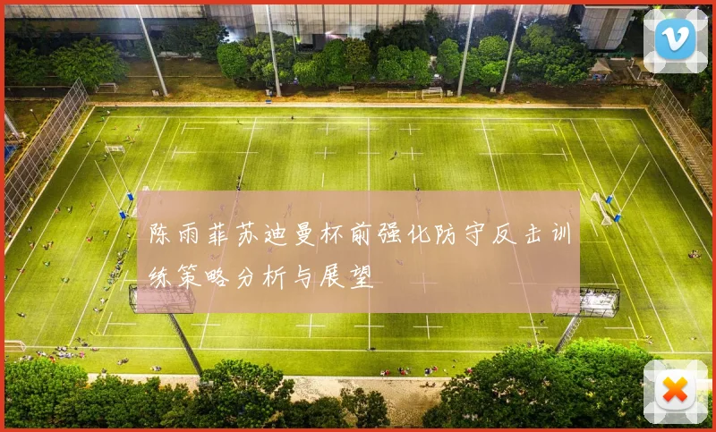 陈雨菲苏迪曼杯前强化防守反击训练策略分析与展望
